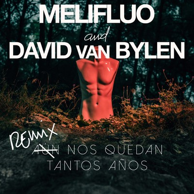 Aun Nos Quedan Tantos Anos (David Van Bylen - Remix)/David Van Bylen
