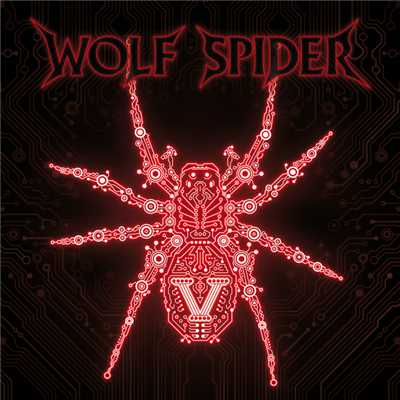 Sense Of Life/Wolf Spider