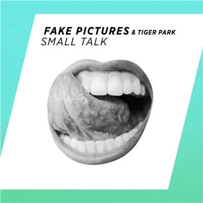 シングル/Small Talk/Fake Pictures／Tiger Park
