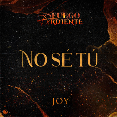 シングル/No Se Tu (De La Telenovela ”Fuego Ardiente”)/Joy