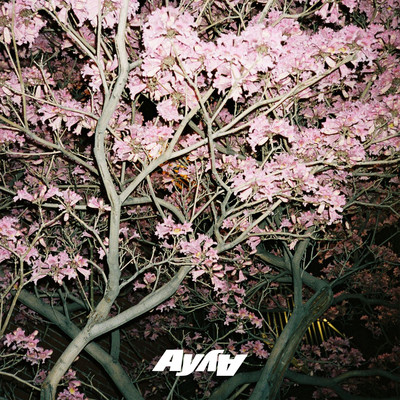 シングル/what you need (Instrumental)/AY AY
