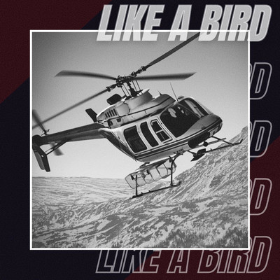 シングル/Like a Bird/FreakyBeatz