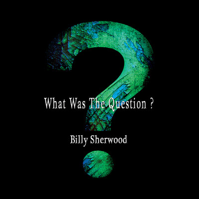 アルバム/What Was the Question？/Billy Sherwood