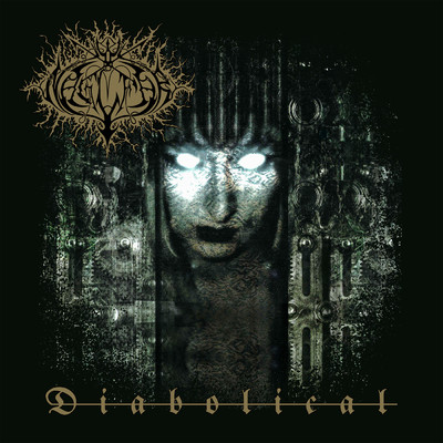 Into The Cold Voids of Eternity (Re-issue 2023)/Naglfar