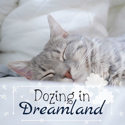 アルバム/Dozing in Dreamland/Piano Cats