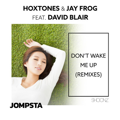 Don't Wake Me Up (Remixes)/Hoxtones & Jay Frog