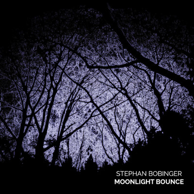 アルバム/Moonlight Bounce/Stephan Bobinger