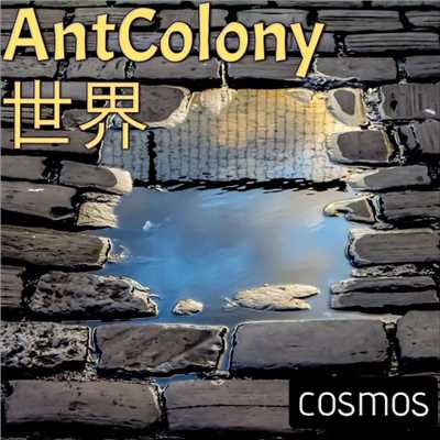 Ant Colony ／ 世界/cosmos
