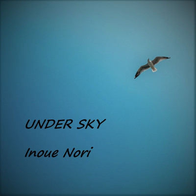 アルバム/UNDER SKY/Nori Inoue