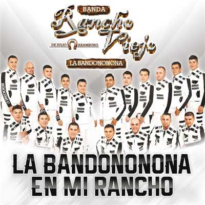 Me Ando Paseando/Banda Rancho Viejo De Julio Aramburo La Bandononona