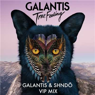 シングル/True Feeling (Galantis & shndo VIP Mix)/Galantis