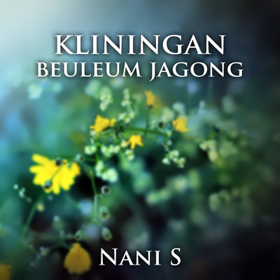 Kangkung Bandung/Nani S
