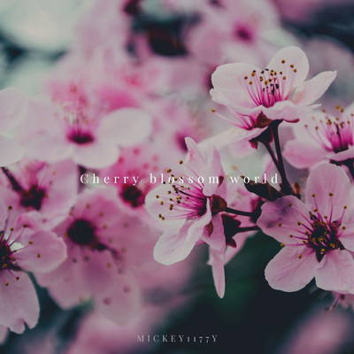 シングル/Cherry blossom world/Mickey1177y