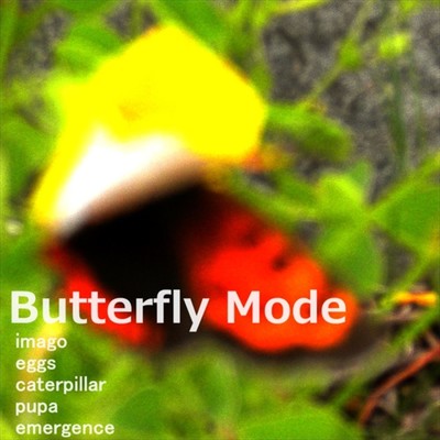 アルバム/Butterfly Mode/秋山タイジ