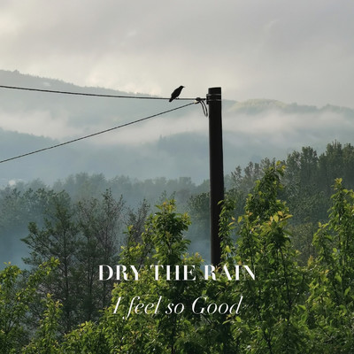 Alone Today/Dry The Rain
