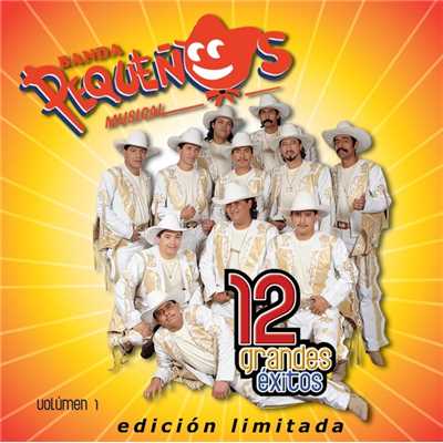 アルバム/12 Grandes exitos Vol. 1/Banda Pequenos Musical
