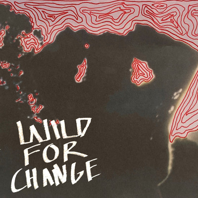 シングル/Wild For Change/Lilly Carron