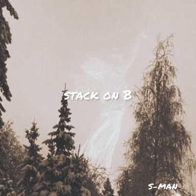 Stack On B/S-MAN
