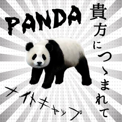 アルバム/PANDA ／ 貴方につゝまれて/ナイトキャップ