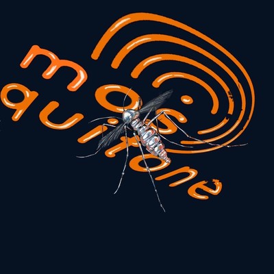 Demo3/mosquitone