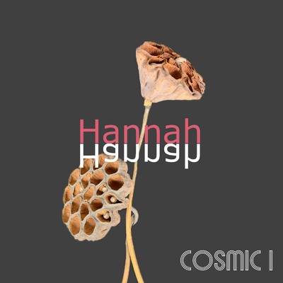 Hannah/COSMIC i