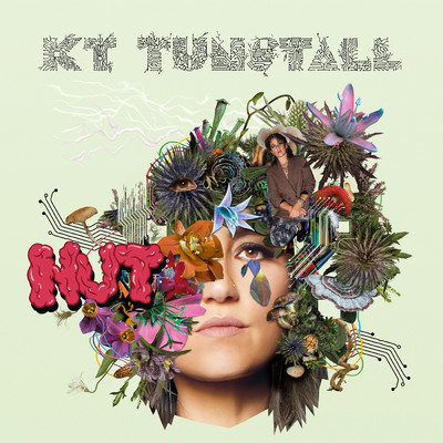 アルバム/NUT/KT Tunstall