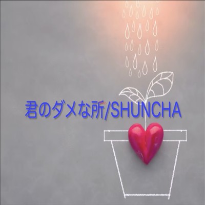 君のダメな所 (feat. Erichika)/SHUNCHA