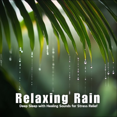 シングル/Raindrops of Calm (効果音 雨)/Healing Sounds for Deep Sleep