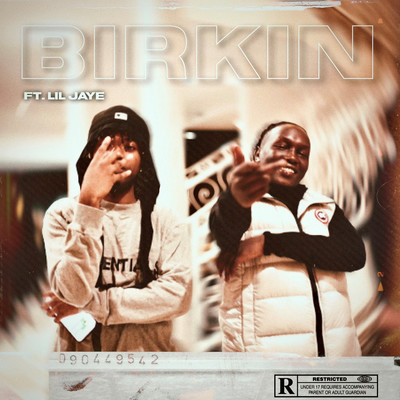 Birkin (feat. Lil Jaye)/Eco$ystem