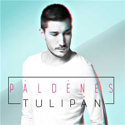 Tulipan/Pal Denes