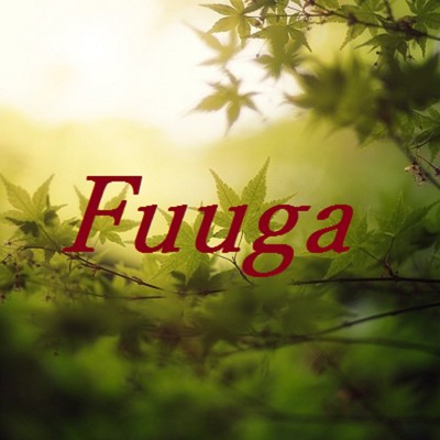 シングル/Fuuga/TandP