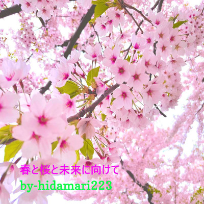 シングル/春と桜と未来に向けて/hidamari223