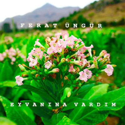 シングル/Eyvanina Vardim/Ferat Ungur