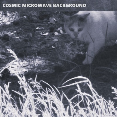 イグアナ/Cosmic Microwave Background