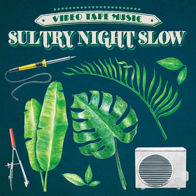 Sultry Night Slow/VIDEOTAPEMUSIC