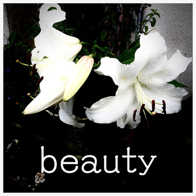 シングル/beauty/Mascara