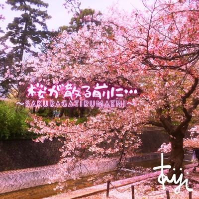 シングル/桜が、散る前に…〜SAKURAGATIRUMAENI〜/TAIJI