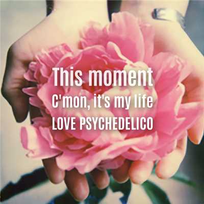 アルバム/This moment／C'mon, it's my life/LOVE PSYCHEDELICO