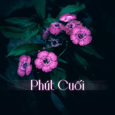 シングル/Phut Cuoi/Hang Han