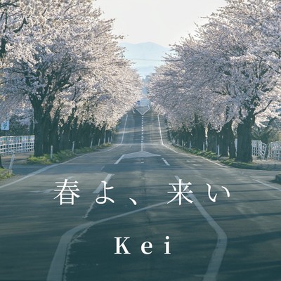 アルバム/春よ、来い/Kei