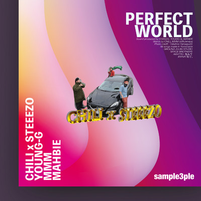 Perfect World/Various Artists