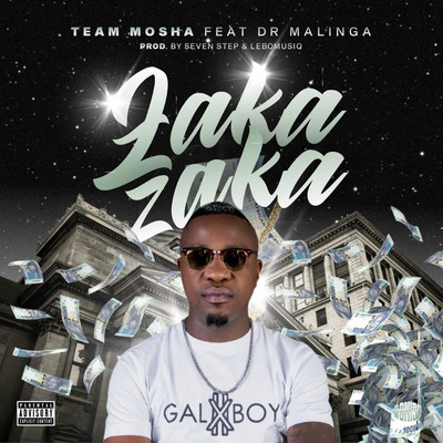 シングル/Zaka Zaka (feat. Dr Malinga)/Team Mosha