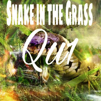 シングル/Snake in the Grass/Qu1