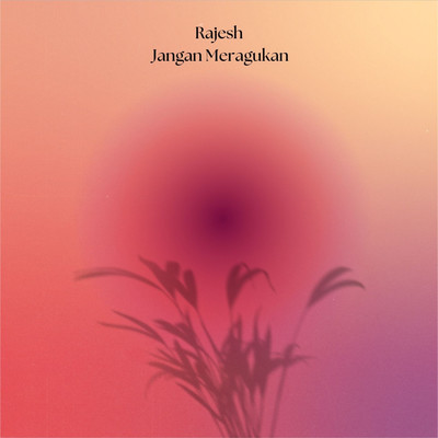 Rajesh