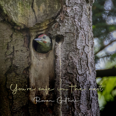 You're safe in the nest/Rowan Guthrie