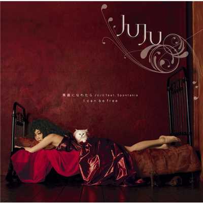 シングル/素直になれたら -Instrumental-/JUJU feat.Spontania