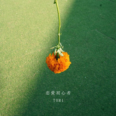 恋愛初心者/TOMI