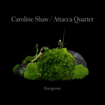 Caroline Shaw: Evergreen/Caroline Shaw & Attacca Quartet