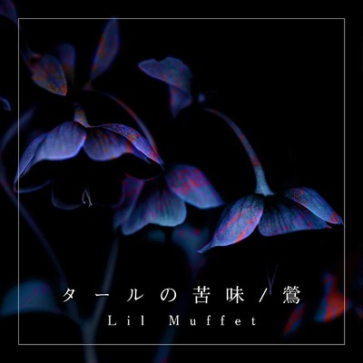 アルバム/タールの苦味 ／ 鶯/Lil Muffet