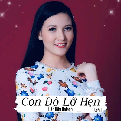 シングル/Con Do Lo Hen (Lofi)/Bao Han Bolero